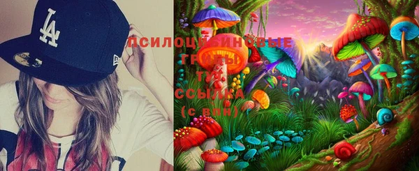 дурь Алексин