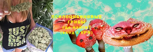 дурь Алексин