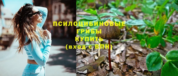 трава Алзамай