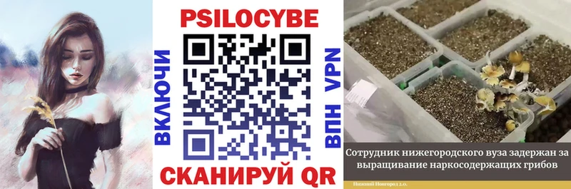 Галлюциногенные грибы мухоморы  Первоуральск 