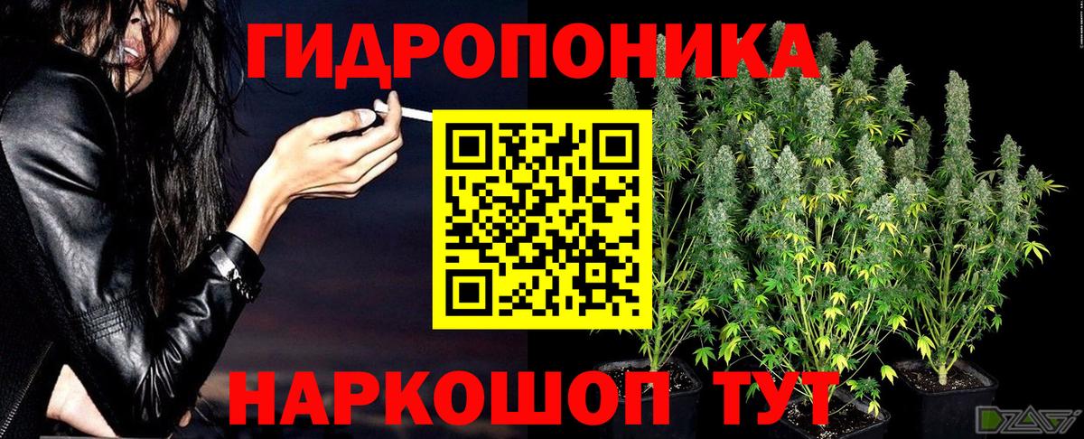 Шишки марихуана Amnesia  Вход с VPN  Канабис план  Марихуана White Widow  Первоуральск 